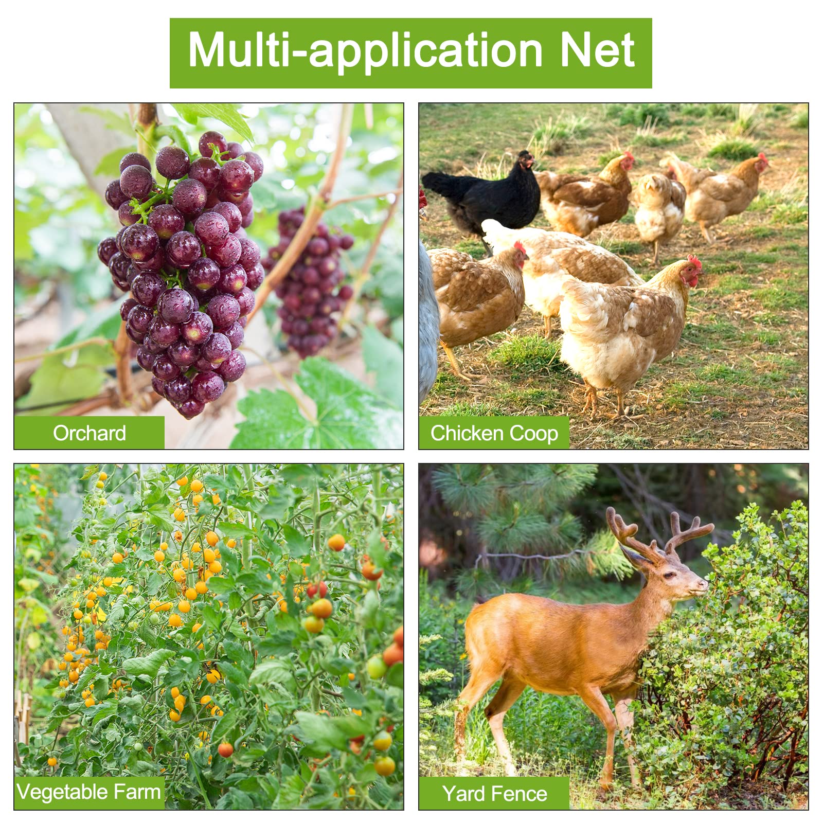 HASTHIP 5*15 ft Creeper Plant Support Net For Agriculture And Gardening, Heavy-Duty Polyester Creepers and Climbers Plants Trellis Netting for Climbing Plants, Vegetables, Fruits, and Flowers HASTHIP 5*15 ft Creeper Plant Support Net For Agriculture And Gardening, Heavy-Duty Polyester Creepers and Climbers Plants Trellis Netting for Climbing Plants, Vegetables, Fruits, and Flowers